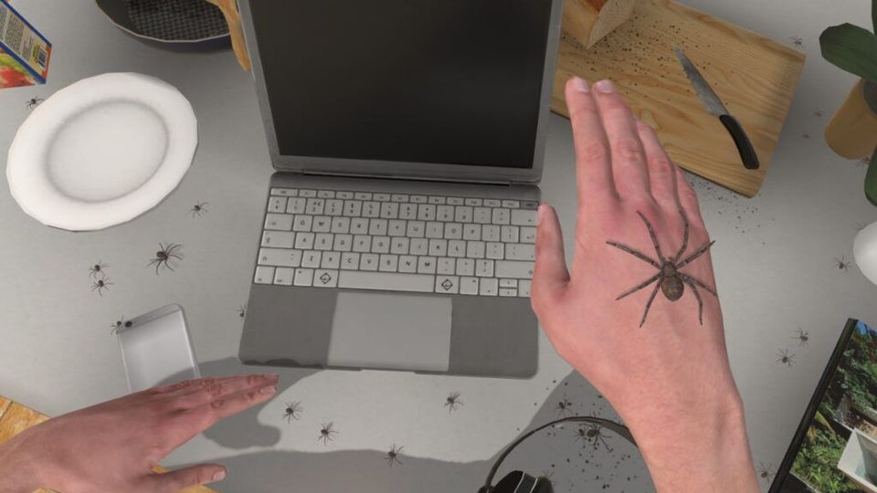 Araignée sur une main dans une simulation virtuelle