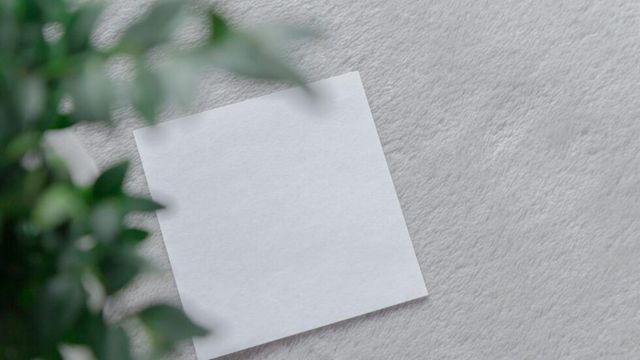 植物のそばの明るい色の面に置かれた白いカード