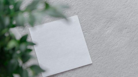 植物のそばの明るい色の面に置かれた白いカード