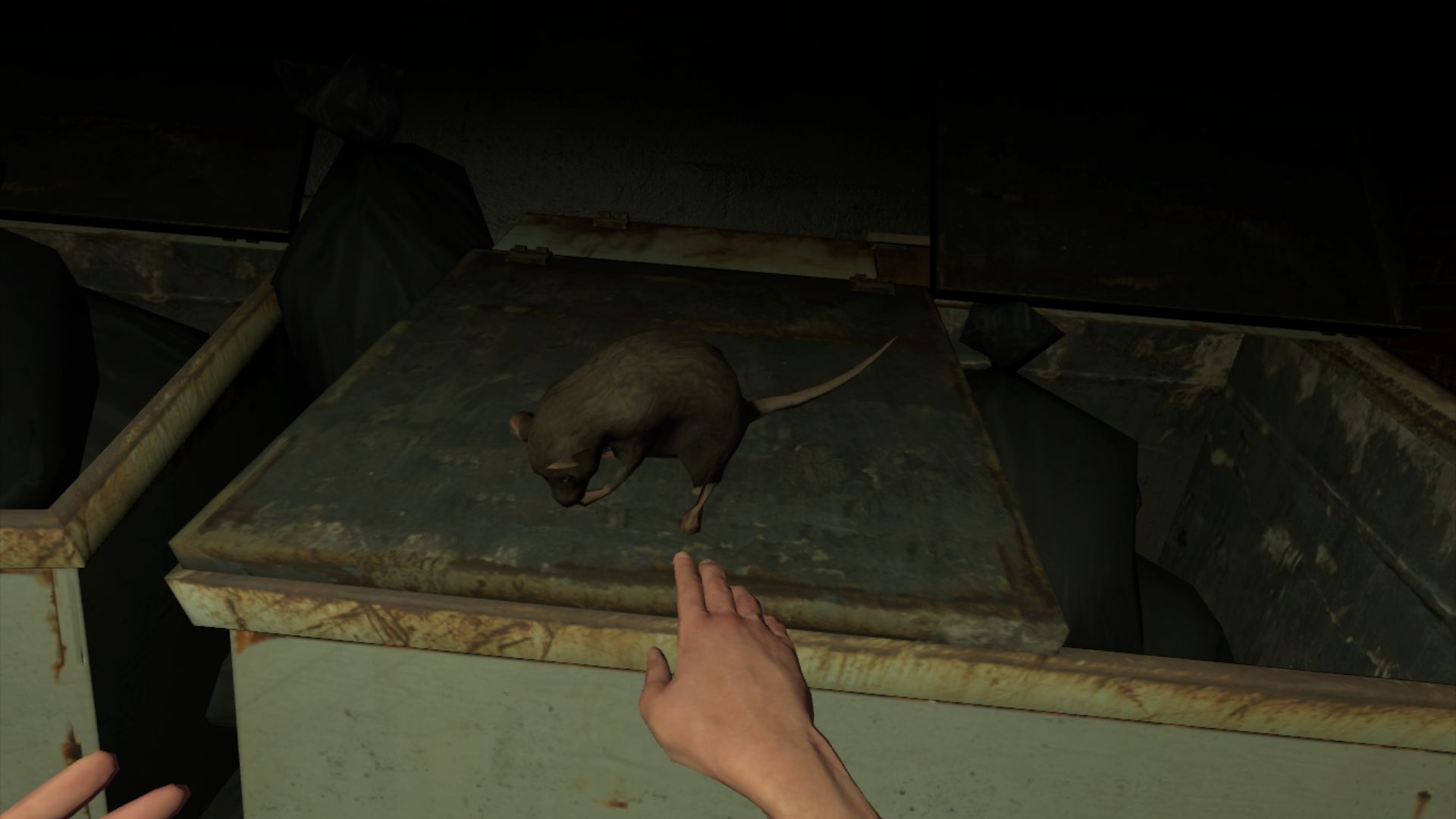 Rats immobiles dans un espace sombre en réalité virtuelle