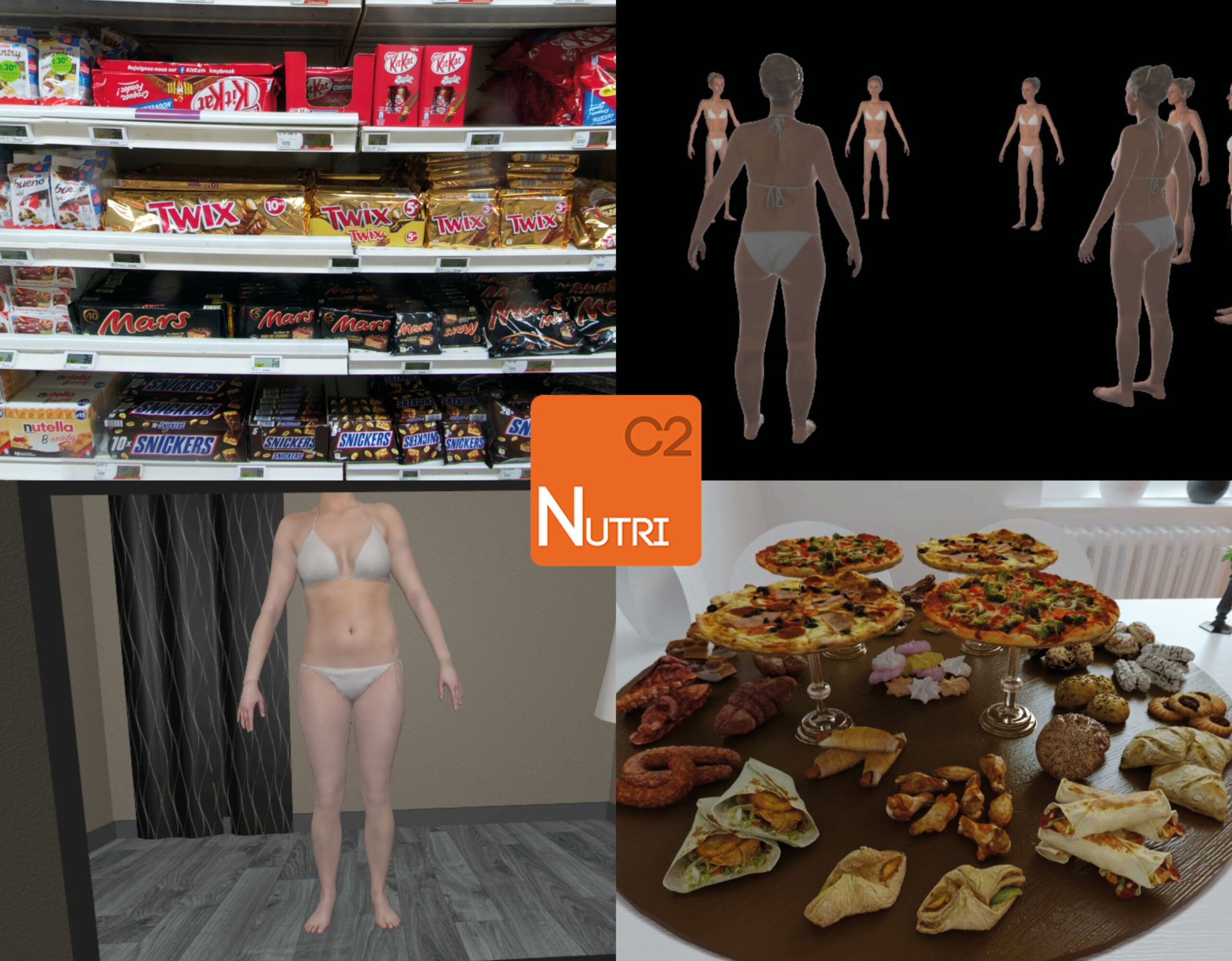 Montaje de alimentos y siluetas para el programa C2Nutri