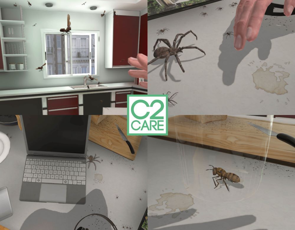 Montage de scènes virtuelles avec araignées et insectes