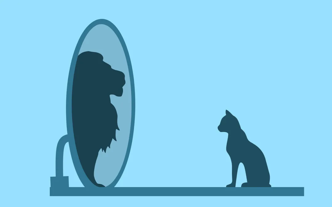 Silueta de un gato que se ve como un león en un espejo