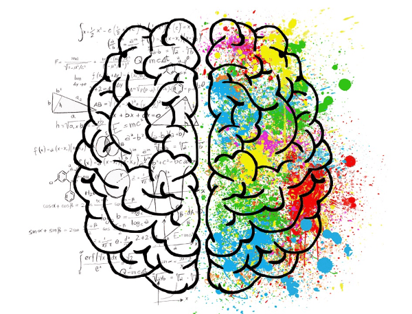 Ilustración de un cerebro con una mitad multicolor