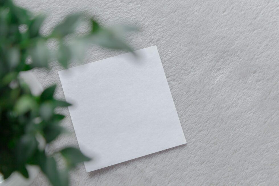 Tarjeta en blanco sobre una superficie clara junto a una planta